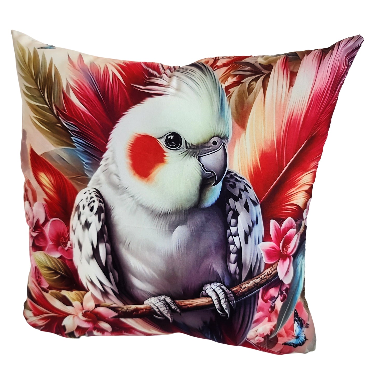 Parakeet 1