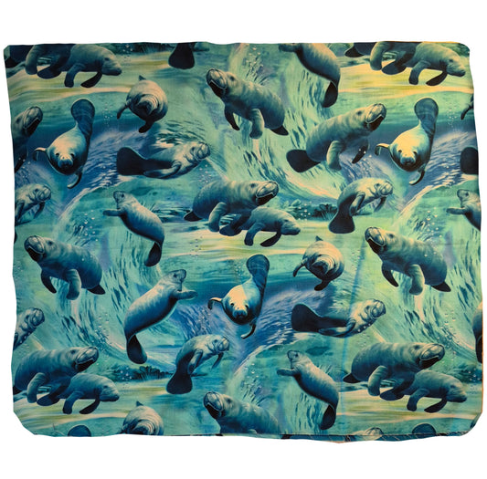Manatees Swimming