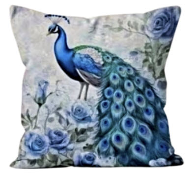 Peacock 2